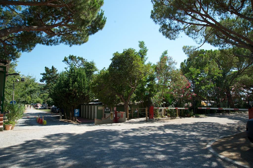 Camping Piper Puntone di Scarlino Exteriör bild